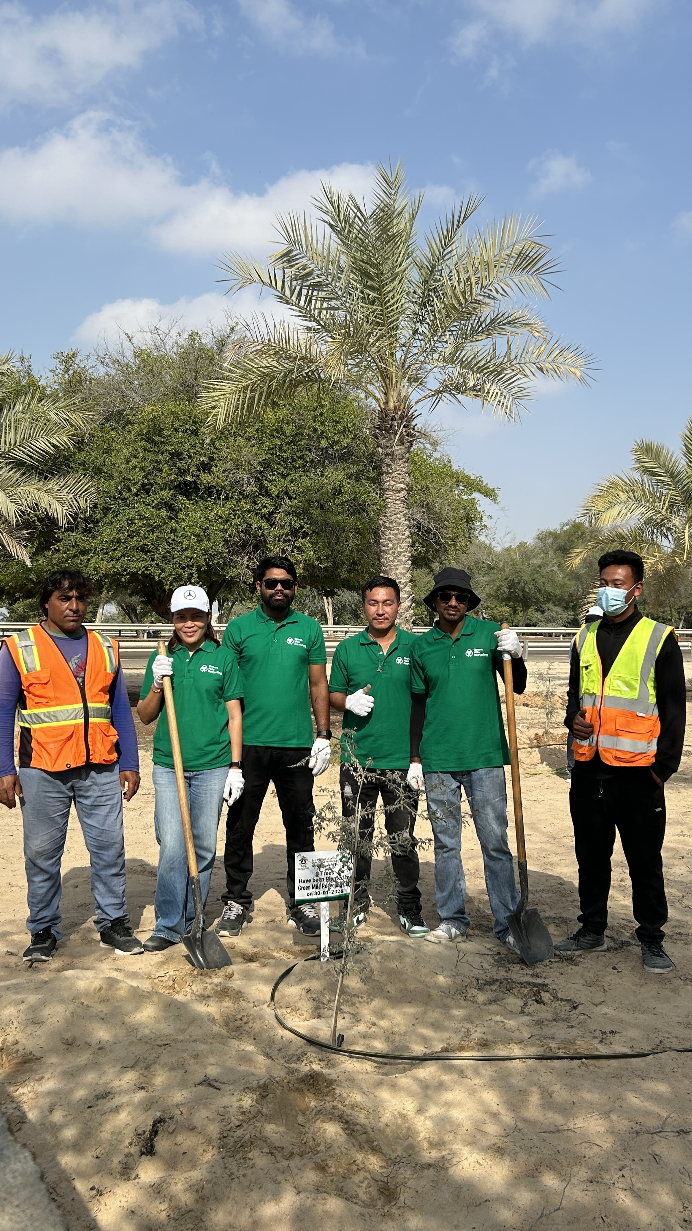 Tree Planting 4